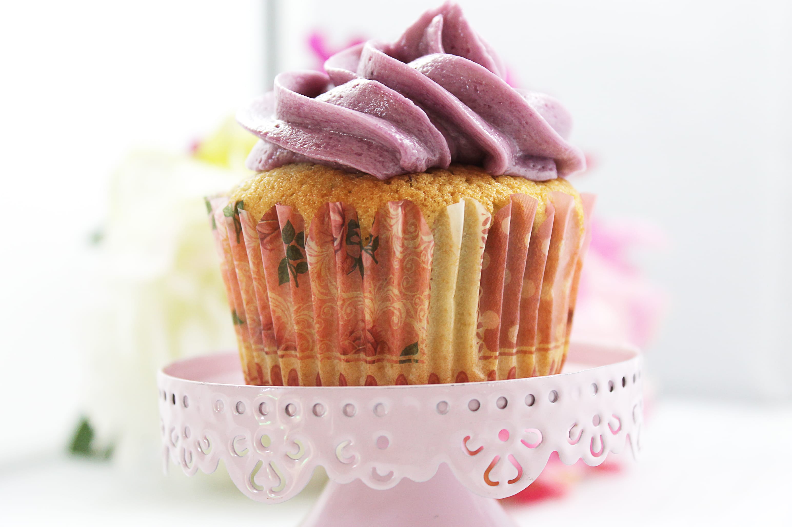 Blueberry Cupcake